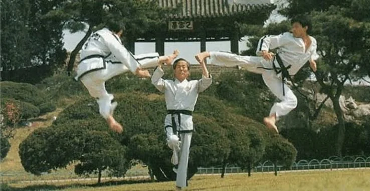 Demonstration team performing flying kicks either side of General Choi