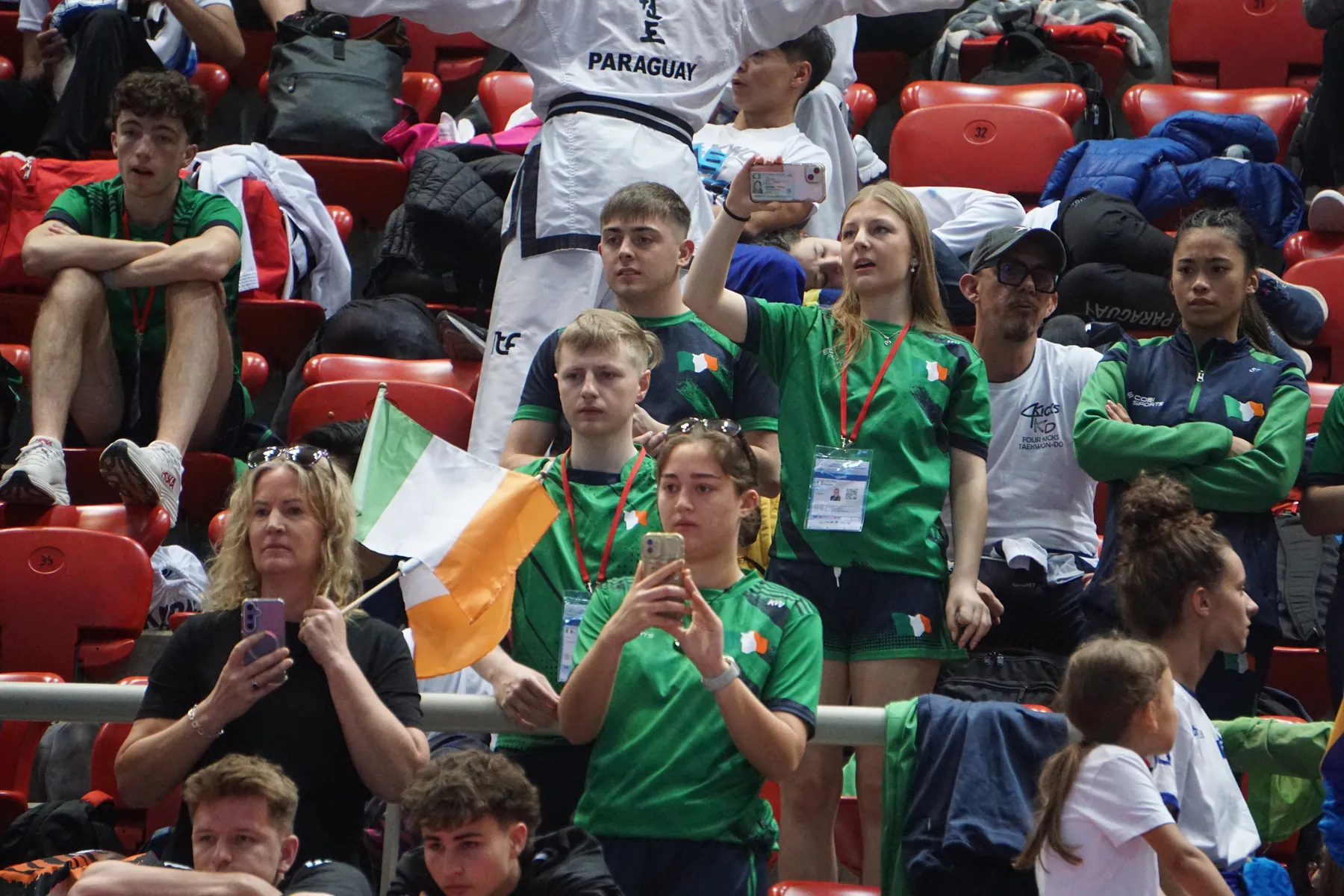 Team Ireland supporters with tricolour flags in the stands