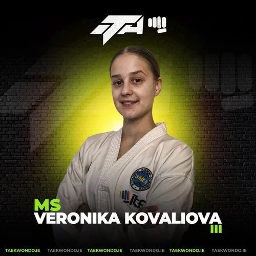 ITA instructor graphic 071