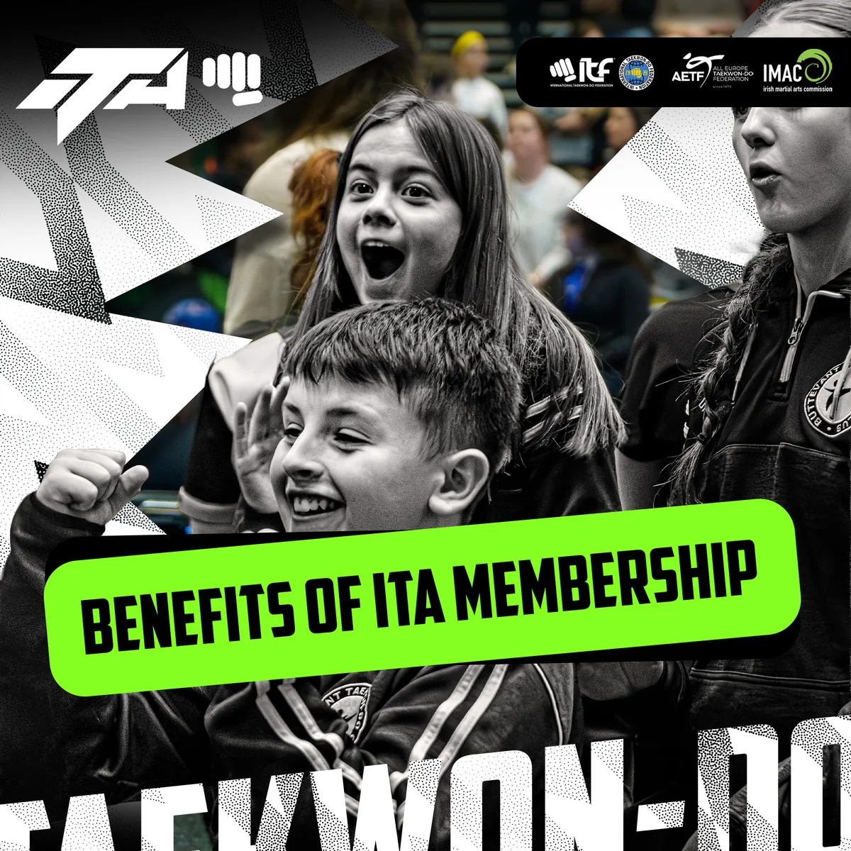Irish Taekwon-Do Association graphic on the benefits of training